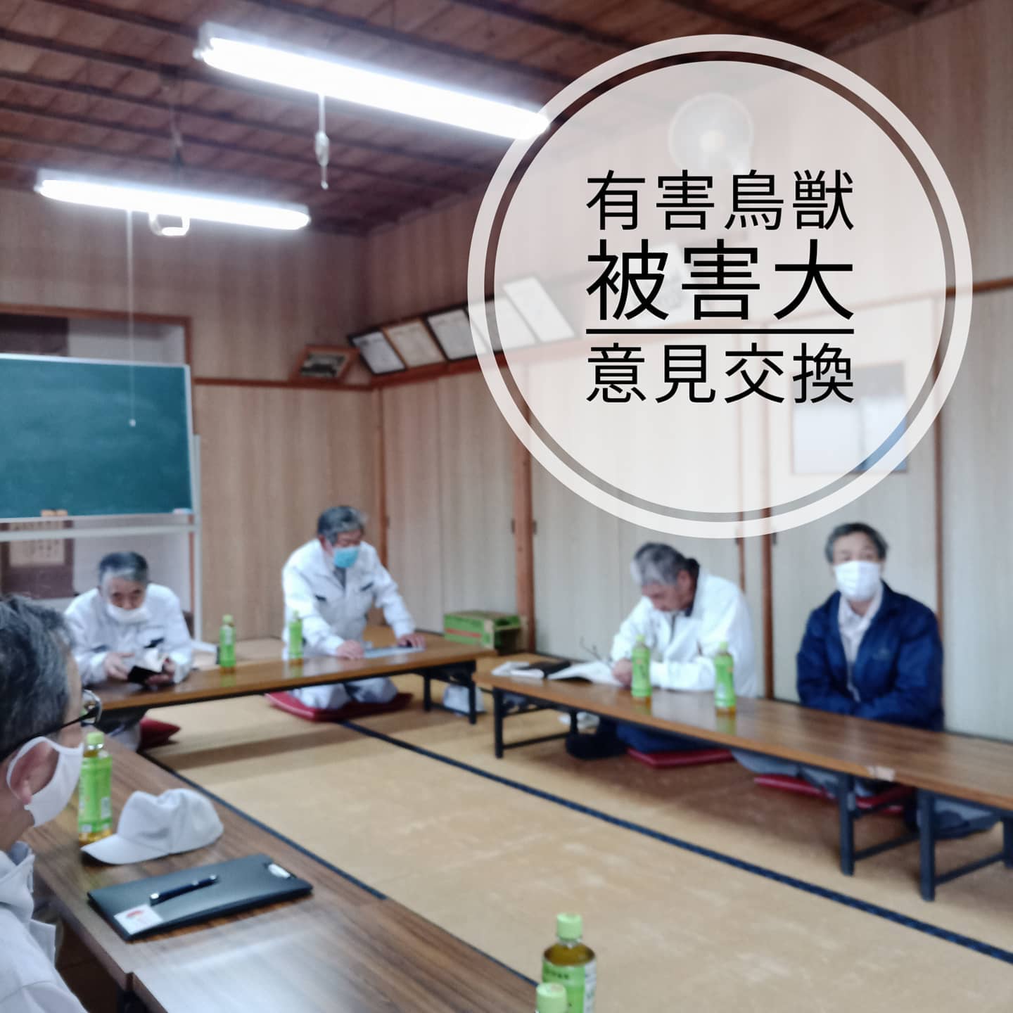 【有害鳥獣対策】農家の方の意見を聞かせて頂いております。今年は大きな被害、深刻です。。。野生動物との共存。農家の方の安全が第一です。