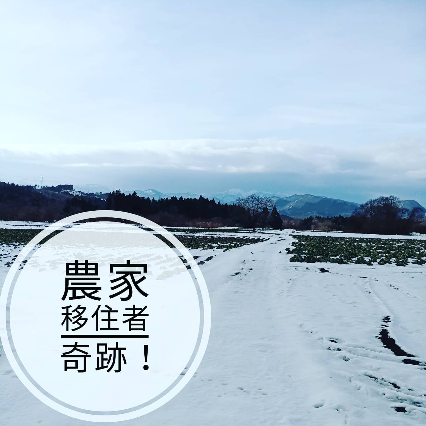 【感動の一言】移住者が３人で１０ヘクタールの農家をされ、１年目で収益化に成功、冬季の今も出荷されている。通常は２ヘクタールが基準とされる中、ノウハウに脱帽です。正に発想の転換!!学びの機会をいただい友人に感謝。